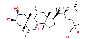 (S)-20,26-Dihydroxyecdysone 22-acetate
